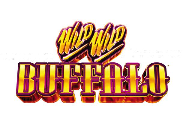 Wild Wild Buffalo